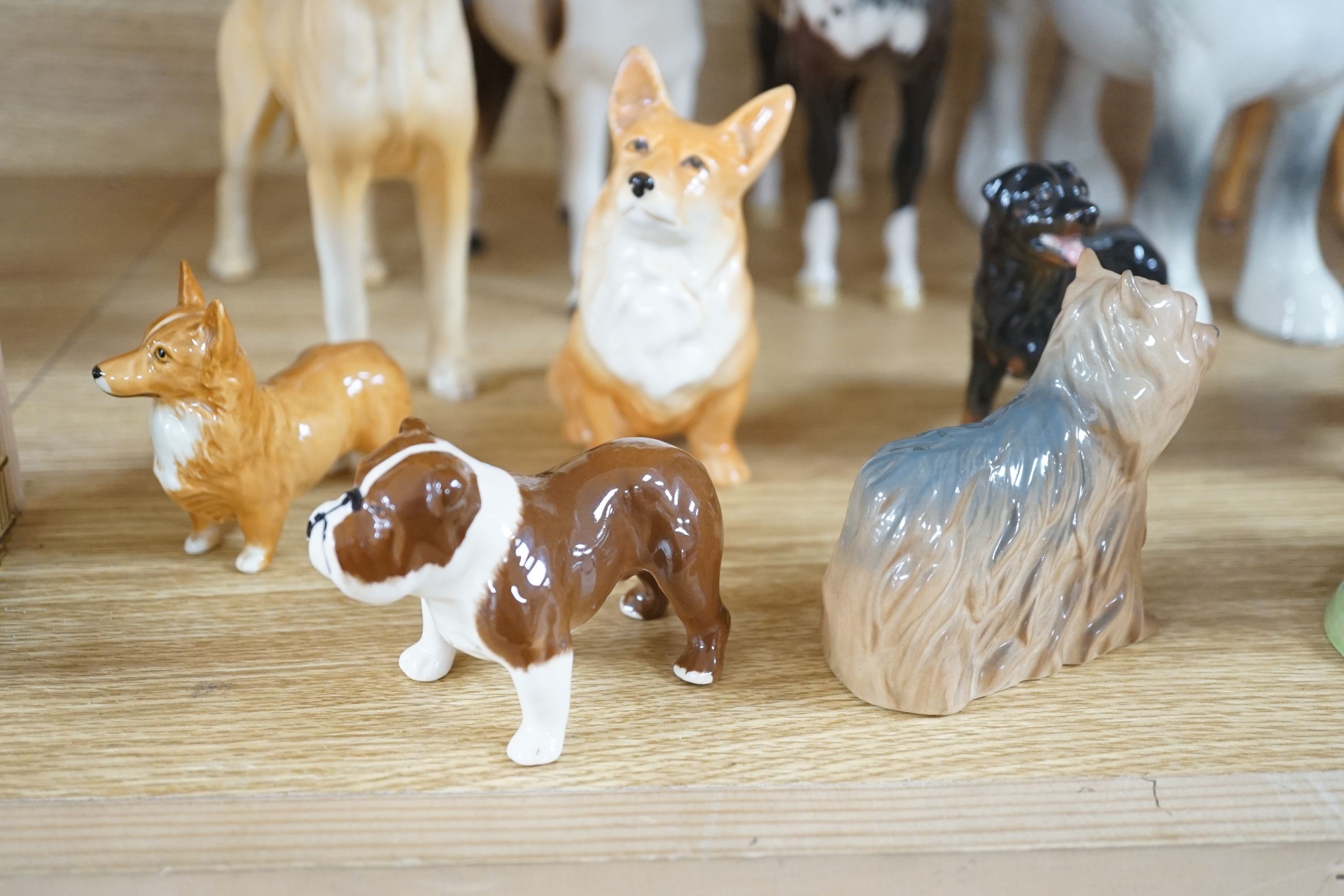 A large quantity of mixed Doulton, Beswick, dogs and horses, largest, Beswick shire horse 23cms high.